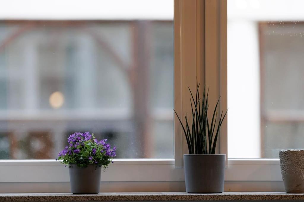 Apartment Weronika's Urban Hideaway *