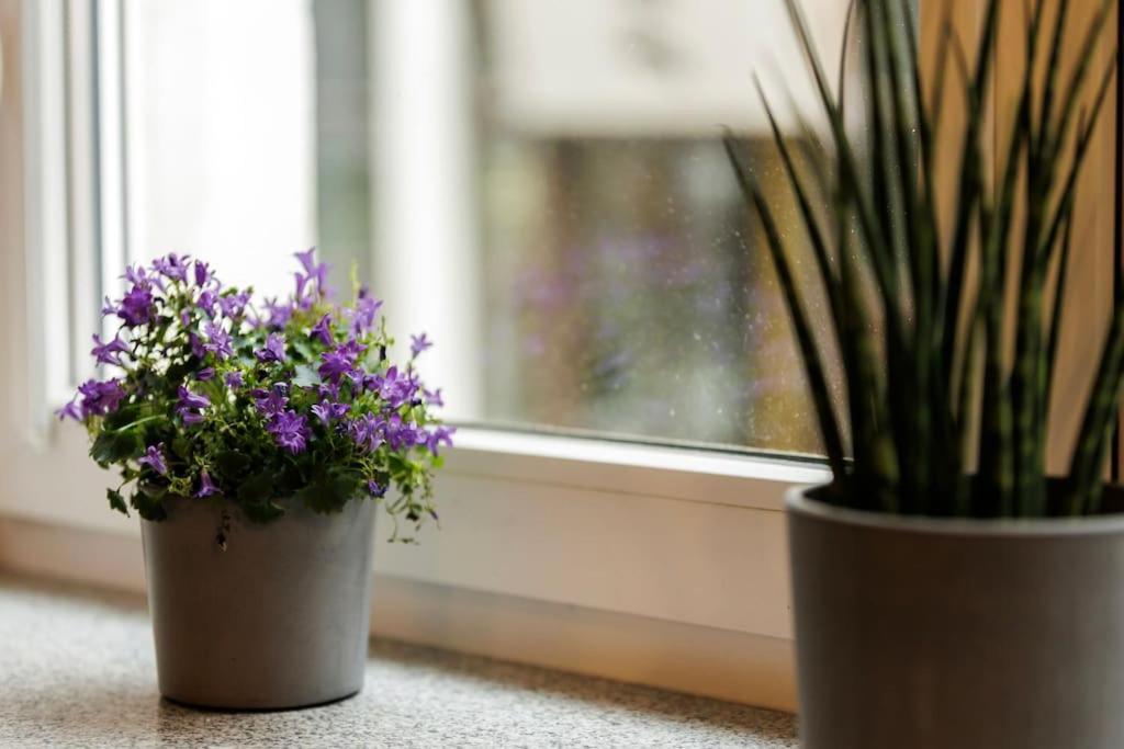 Weronika's Urban Hideaway Apartment