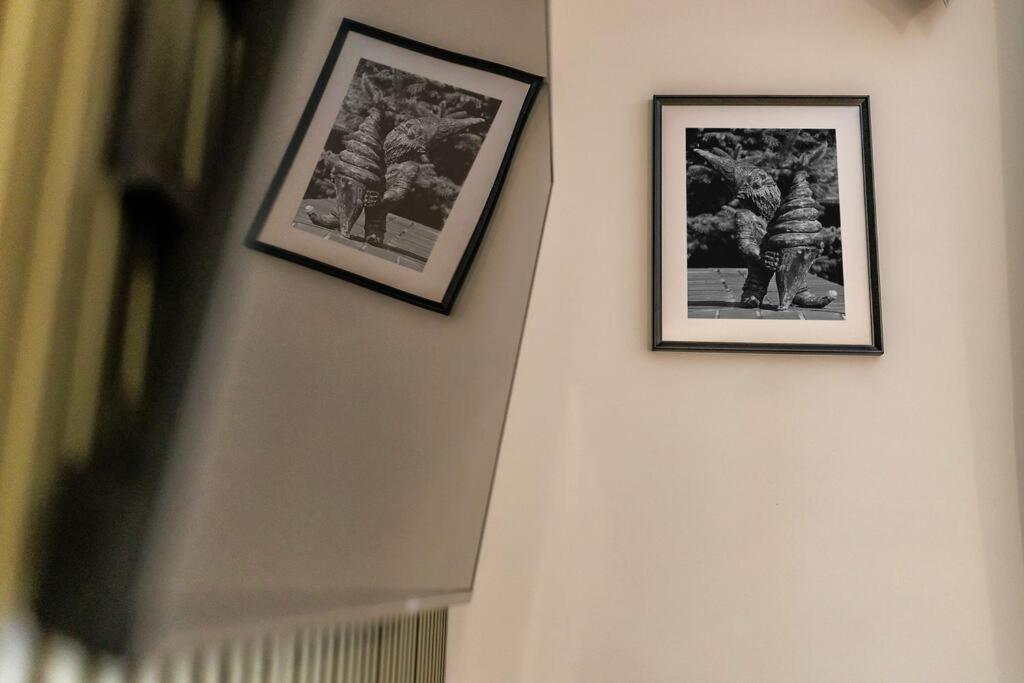 Weronika's Urban Hideaway Wroclaw